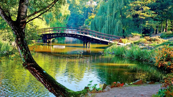 rivers-park-bridge-calmness-serenity-lake-trees-beautiful-tranquil-reflection-river-branches-quiet-garden-shore-willow-photo-1920x1080